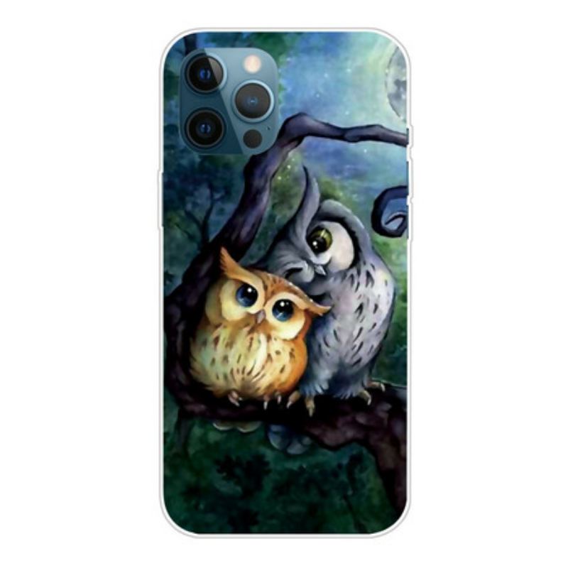 Coque iPhone 13 Pro Max Peinture Hiboux