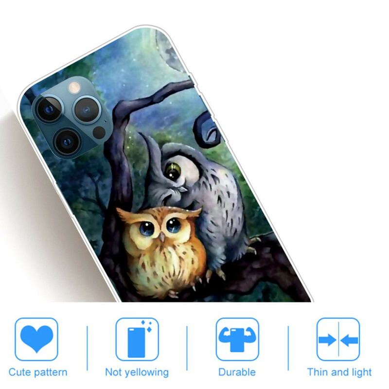 Coque iPhone 13 Pro Max Peinture Hiboux