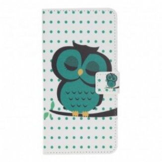 Housse Samsung Galaxy A40 Hibou Endormi