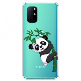 Coque OnePlus 8T Transparente Panda Sur Le Bambou