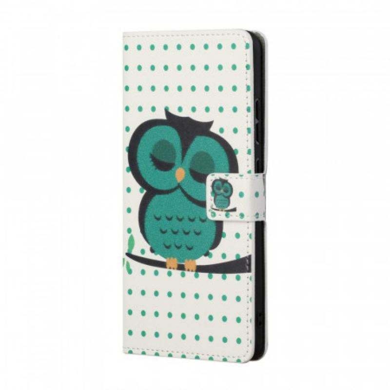 Housse Samsung Galaxy S22 Plus 5G Hibou Endormi