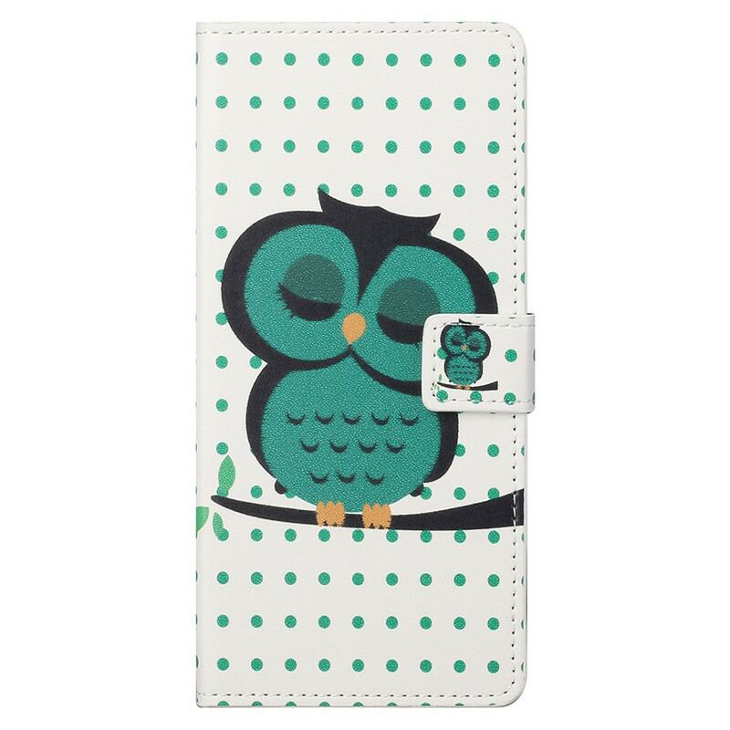 Housse OnePlus Nord CE 5G Hibou Endormi