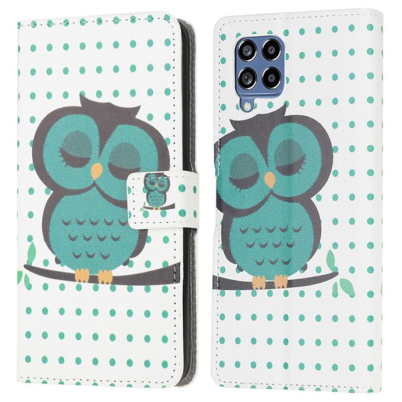 Housse Samsung Galaxy M53 5G Hibou Endormi