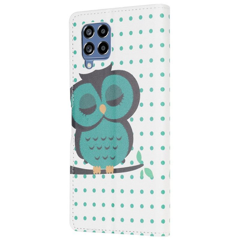 Housse Samsung Galaxy M53 5G Hibou Endormi