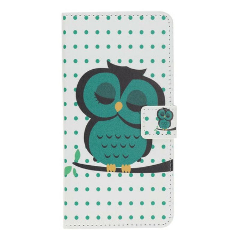 Housse iPhone 12 / 12 Pro Hibou Endormi