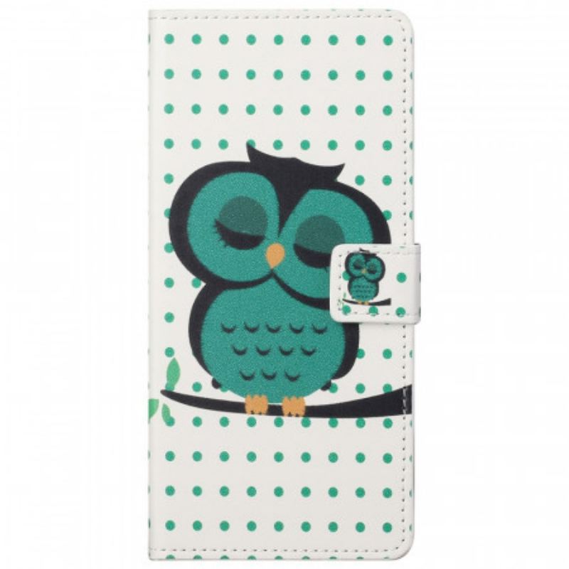 Housse Google Pixel 6A Hibou Endormi