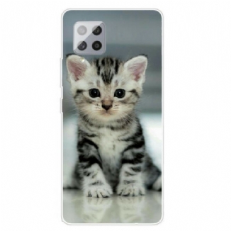 Coque Samsung Galaxy A42 5G Chaton Chaton